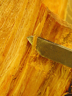 bild-10-feinarbeit.jpg