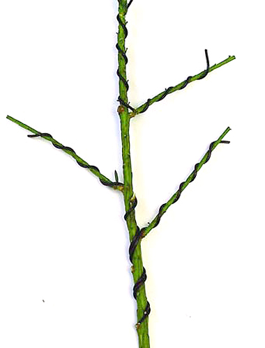 drahten05.jpg