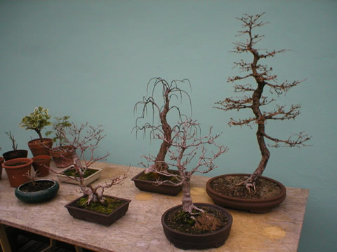 terasse6.jpg