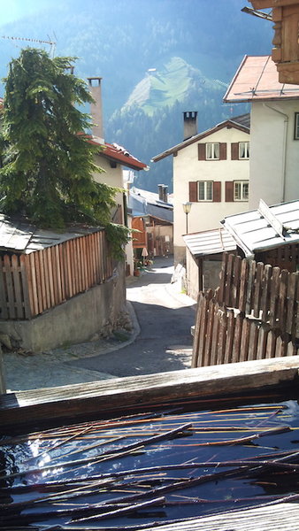 DSC02393.JPG