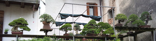DSC02417.JPG