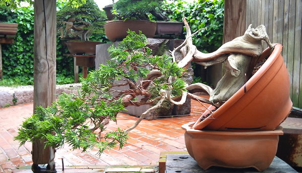DSC02454.JPG