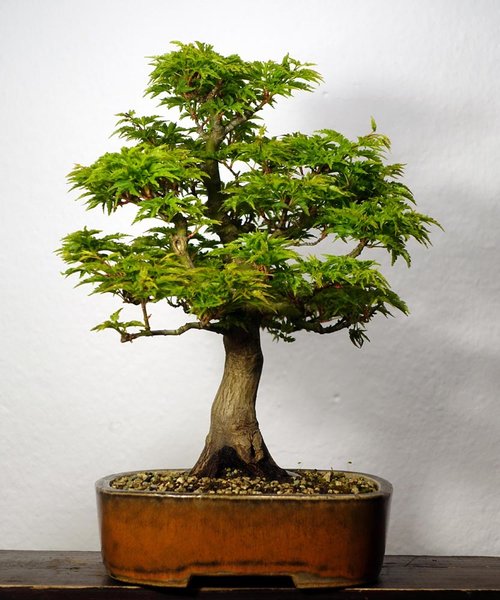 Mitte April 2016