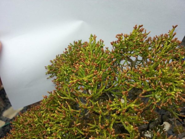 K800_WP_20160516_003.JPG
