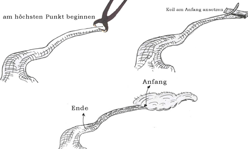 spalten3-kopie.jpg