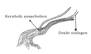 spalten4-kopie.jpg