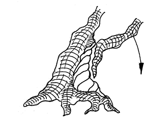 shari-sabamiki.jpg