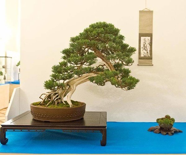 FB_IMG_1463590206206.jpg