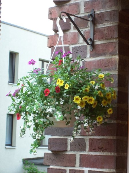 Blumenampel 2016.jpg