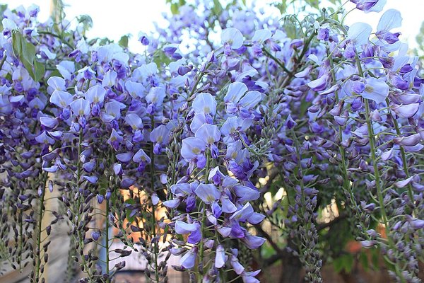 20160515_e.jpg