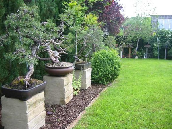 garten16a.JPG