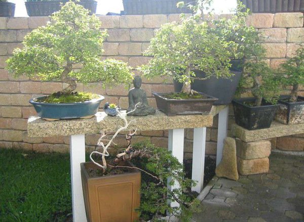 garten16d.JPG