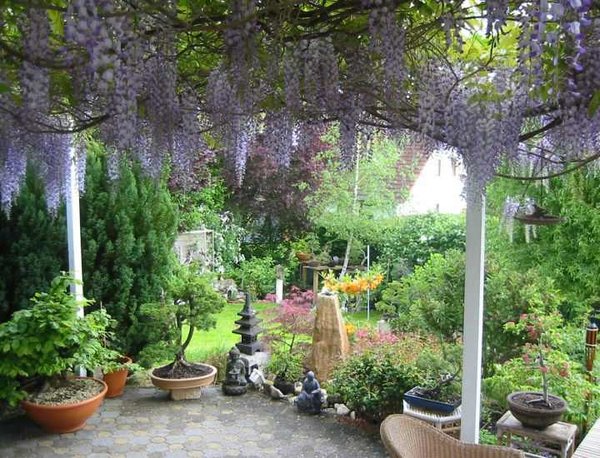 garten16e.JPG