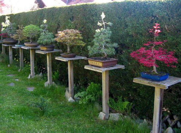 garten16g.JPG