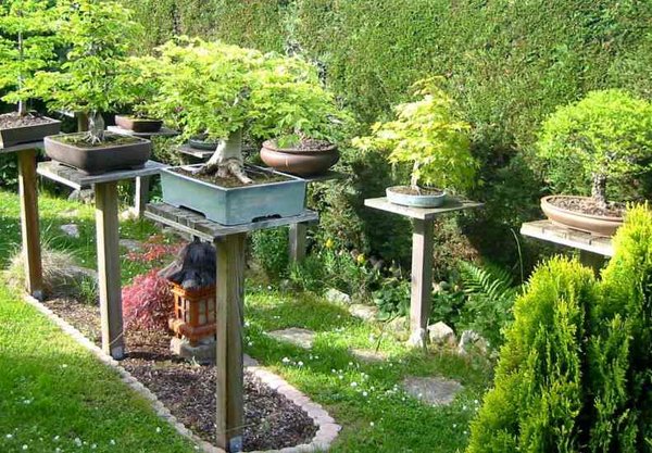 garten16h.JPG