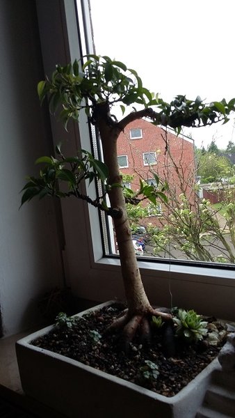 20160524_125203.jpg