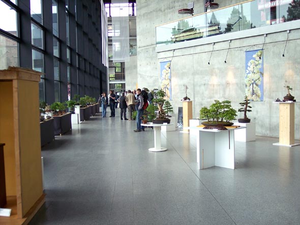 ein blick in den ausstellungsraum