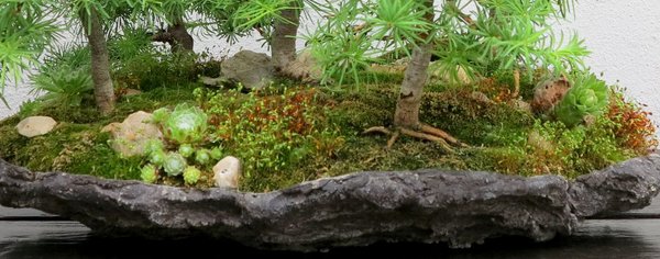 2016-05-29-detail1_.jpg