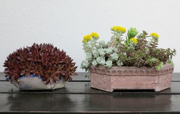 betonschalenbeisteller2_.jpg