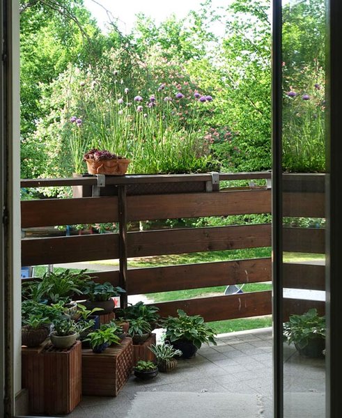 Das Hosta-Treppchen von meinem Wohnzimmer. Im Kasten blüht der Schnittlauch und im Hintergrund die rote Kastanie.