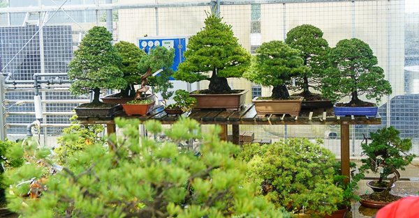20160608-DSC02071.jpg