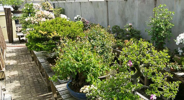20160608-DSC02085.jpg