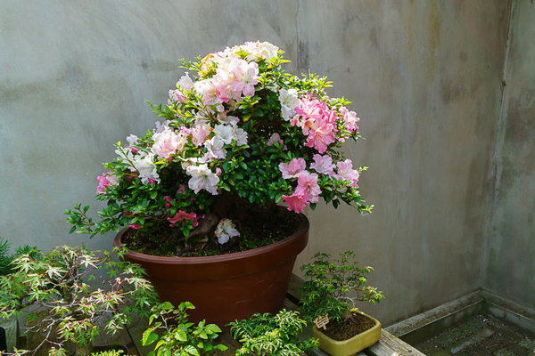 20160608-DSC02086.jpg