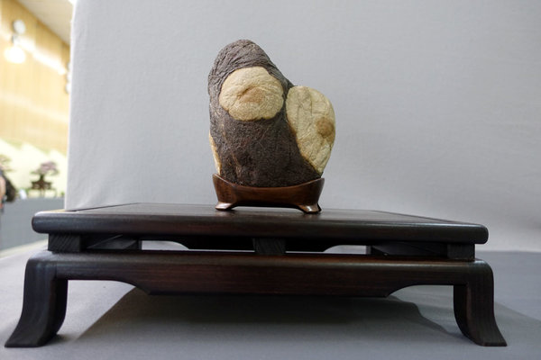 Stein02small.jpg