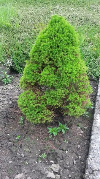 20160528_125934b.jpg