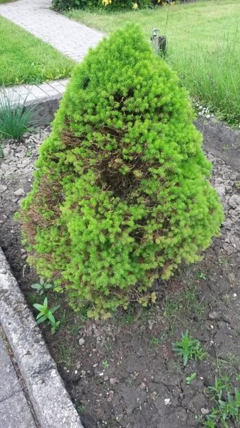 20160528_125943b.jpg