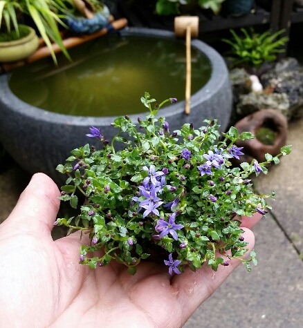 2016-06-12 09.01.07.jpg