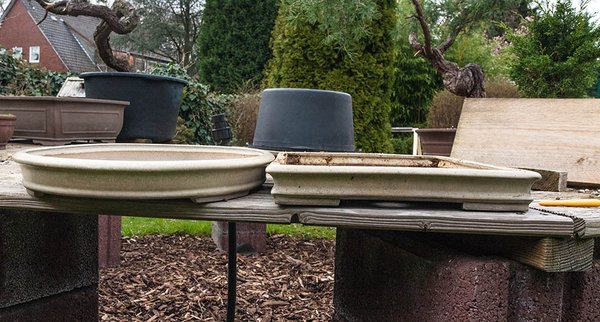 Die alte und die neue Schale