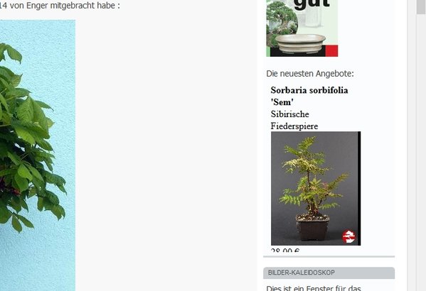 Screenshot (3).jpg