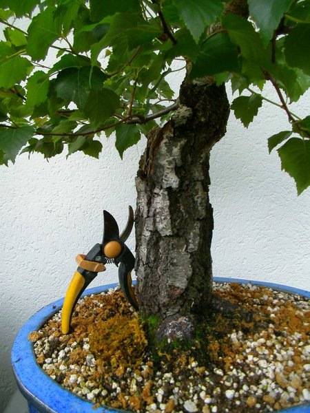 Detail und Größenvergleich