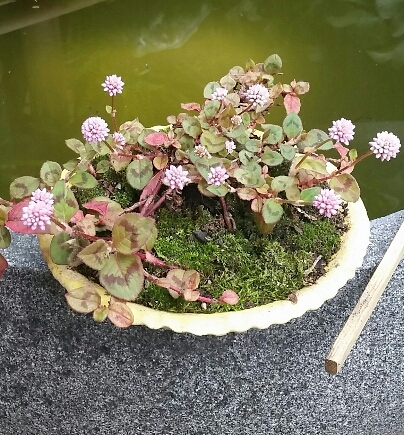 2016-06-13 16.05.48.jpg