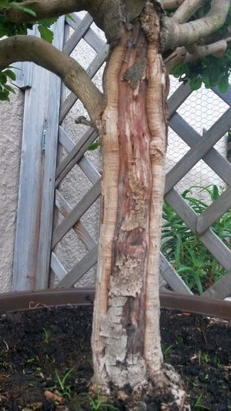 20160528_125844.jpg
