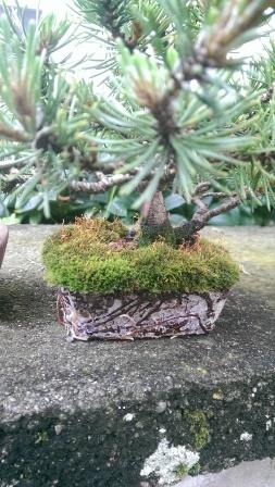 IMAG0822.jpg