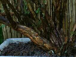 20160624_144616.jpg