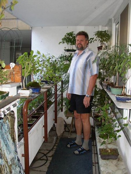 bonsai-loggia2.jpg