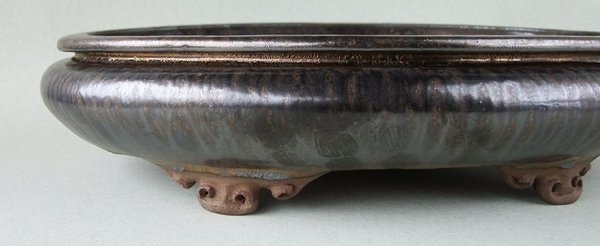 k-T-III 1619 Schlangenhaut b.jpg