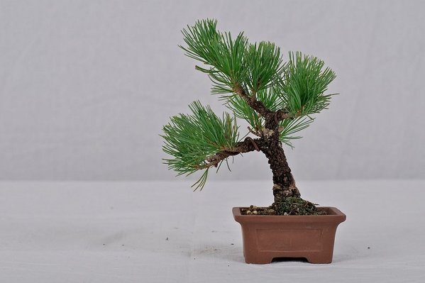 DSC_8307_2.jpg