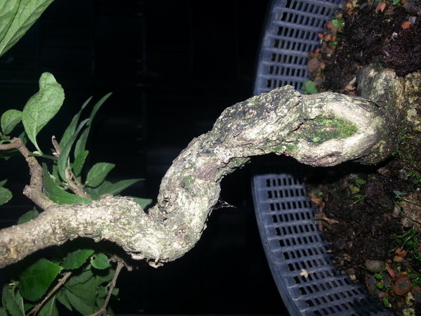 20160704_214746.jpg