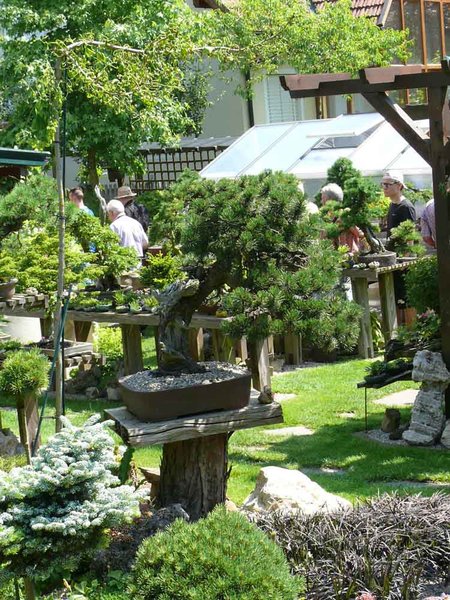 Es halten sich schon zahlreiche Gäste im Garten auf