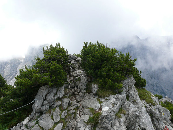 P1160610k.jpg