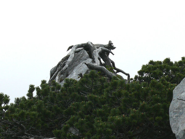 P1160629k.jpg