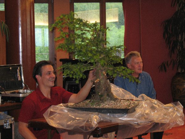 Harmonie ist doch wichtig beim Bonsai- Gestalten