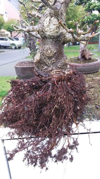 20160417_123015.jpg