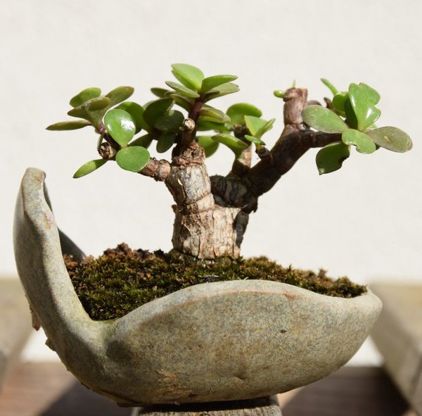 068.JPG