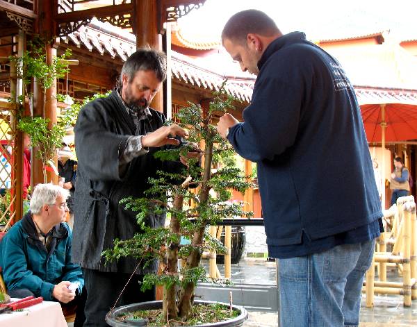 Demo Hofbonsai2.jpg