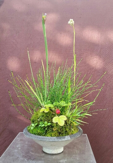 2016-07-11 07.36.05.jpg